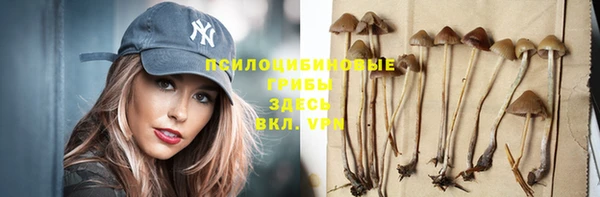 мдма Бородино